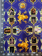 Load image into Gallery viewer, Chocolate Frog Cards HP
