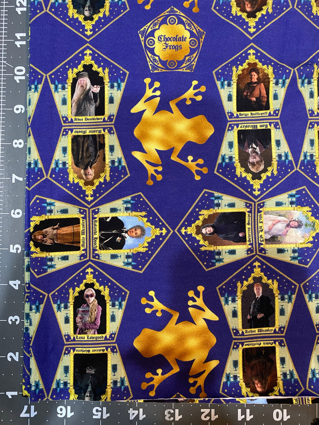 Chocolate Frog Cards HP