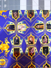 Load image into Gallery viewer, Chocolate Frog Cards HP
